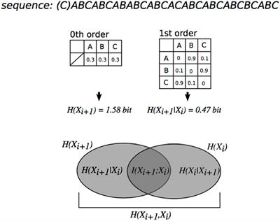 Depth and the Uncertainty of Statistical Knowledge on Musical Creativity Fluctuate Over a Composer's Lifetime